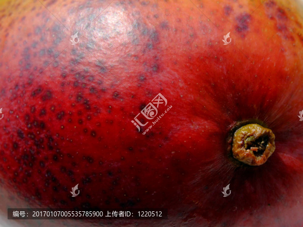 芒果-匯圖網(wǎng) www.fosd68.com 芒果