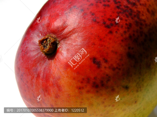 芒果-匯圖網(wǎng) www.fosd68.com 芒果