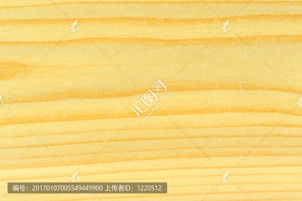 明亮的松木特