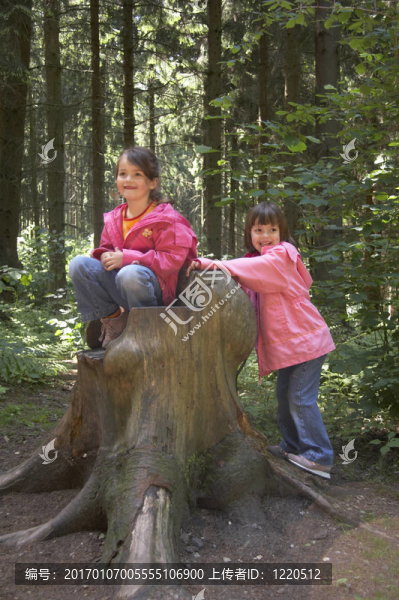 雙胞胎在樹(shù)上玩耍