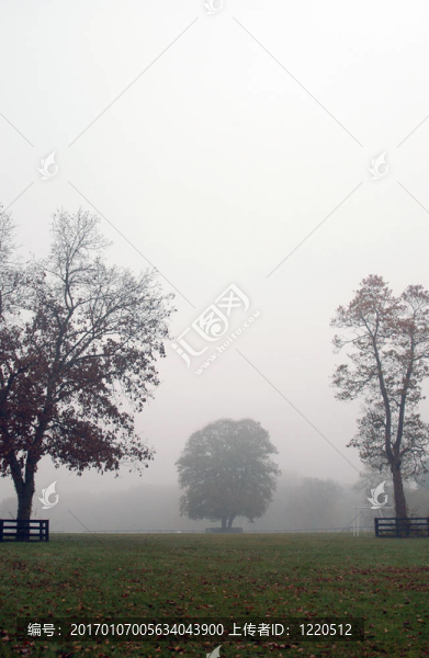 秋天的霧景