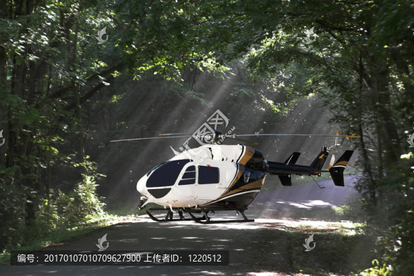helecopter樹林