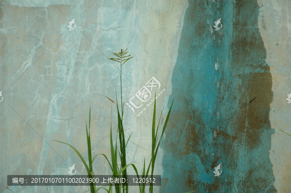 草壁-匯圖網(wǎng) www.fosd68.com 草壁