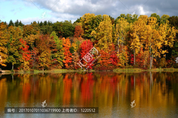 秋天的思考-匯圖網(wǎng) www.fosd68.com 秋天的思考