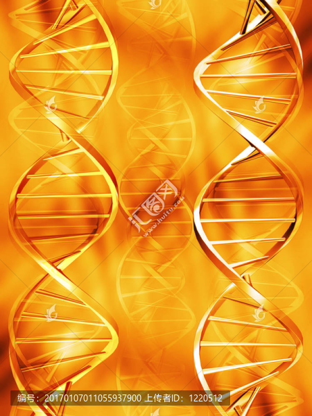 DNA鏈
