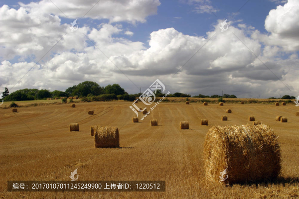 當(dāng)太陽照耀-匯圖網(wǎng) www.fosd68.com 當(dāng)太陽照耀