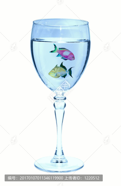 魚