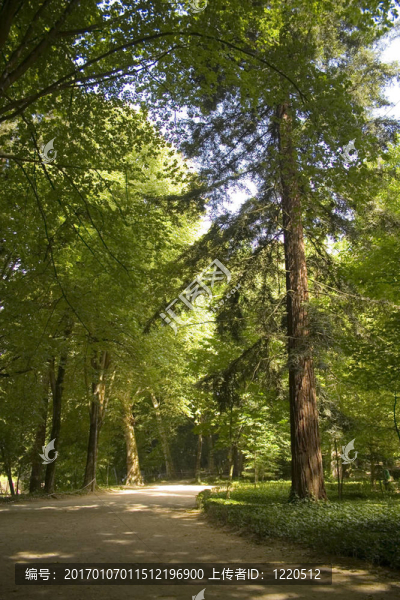 park1
