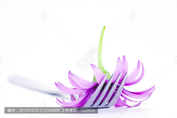 叉和花