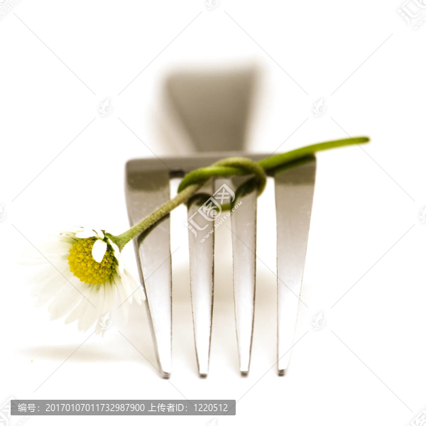 叉和花