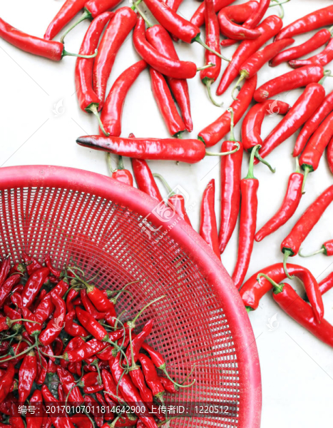 紅辣椒-匯圖網(wǎng) www.fosd68.com 紅辣椒