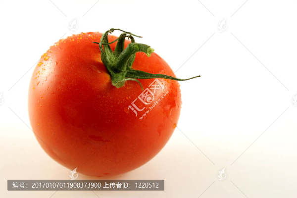 一個單一的番茄