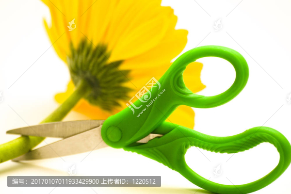 剪刀和花