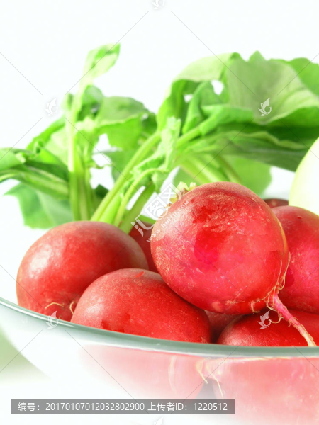 蔬菜蘿卜