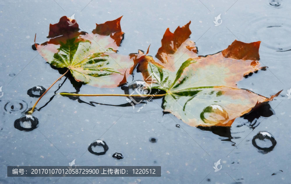 秋天的美麗