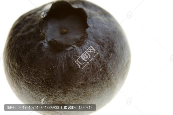 在白色背景上分離的藍(lán)莓圖片