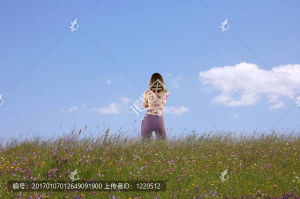 夏天的田野