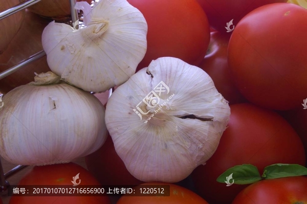 原料粉