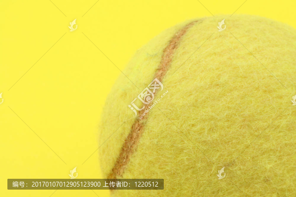 網(wǎng)球簡介-匯圖網(wǎng) www.fosd68.com 網(wǎng)球簡介