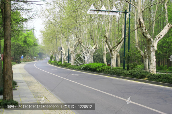 路在春天