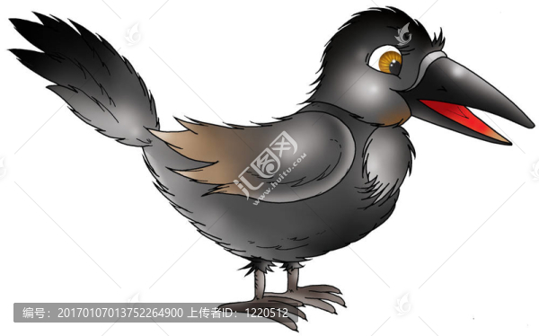 鳥