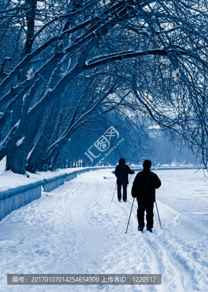 在一個大雪的滑雪者的剪影