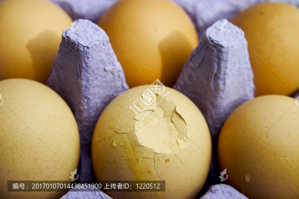 雞蛋的紙箱