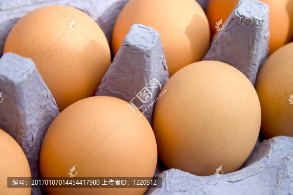 雞蛋