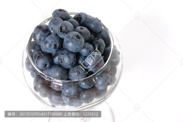 藍(lán)莓-匯圖網(wǎng) www.fosd68.com 藍(lán)莓