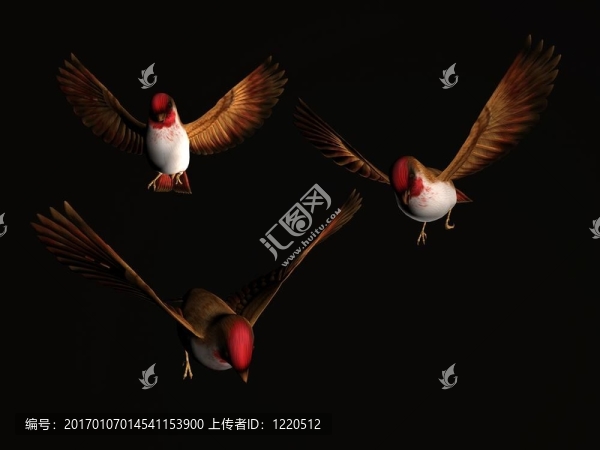 傻鳥