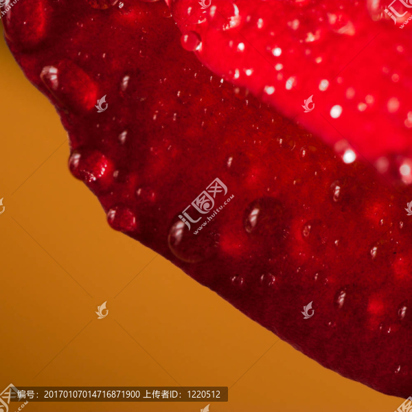 看點(diǎn)一朵玫瑰