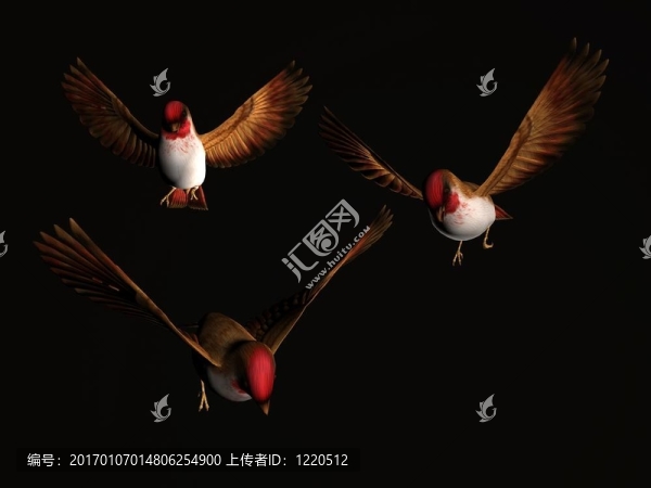 傻鳥