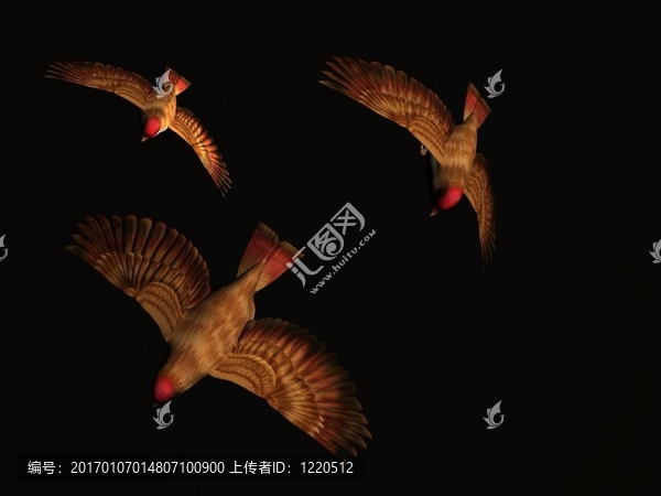 傻鳥兩