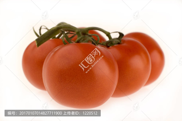 tomato1