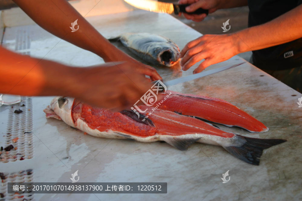 清洗三文魚