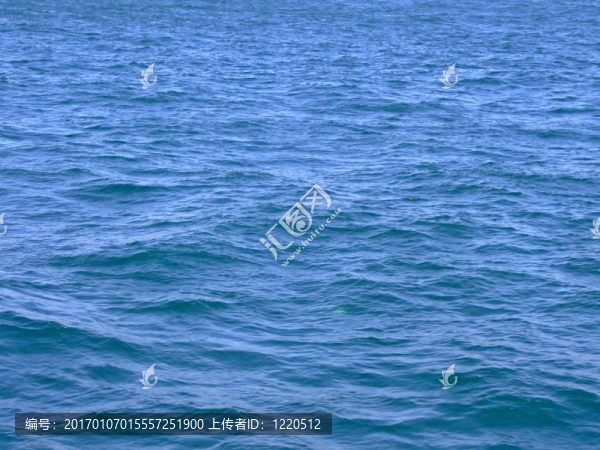 海面