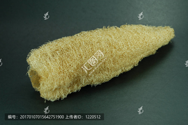 天然海綿