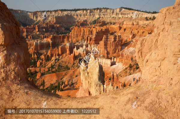 峽谷的景色