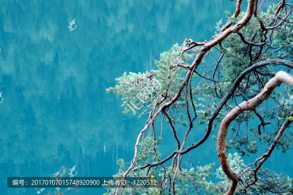 藍湖的阿爾卑斯湖