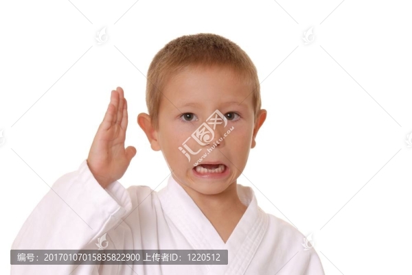 新功夫小子二