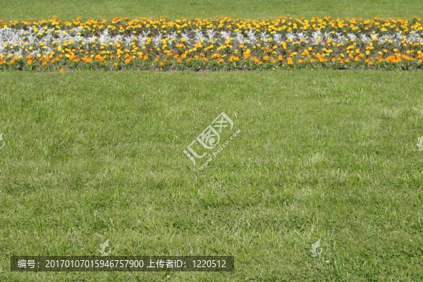 Flowers的邊界