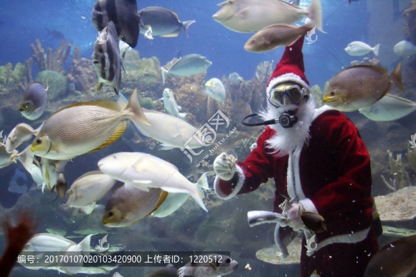 圣誕老人進(jìn)食魚