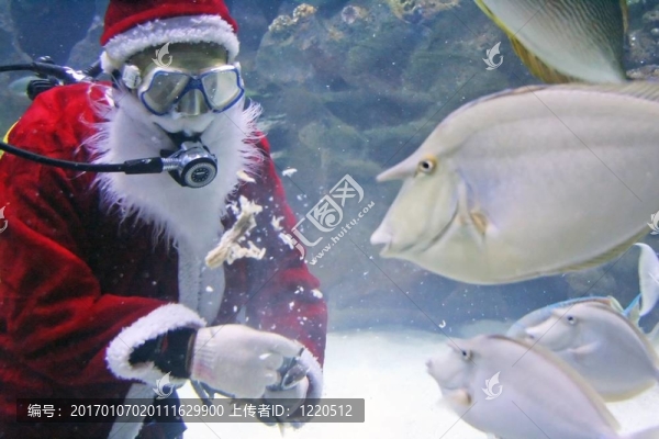 圣誕老人進食魚