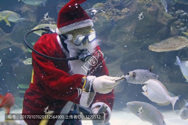 圣誕老人進(jìn)食魚
