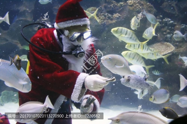 圣誕老人進食魚