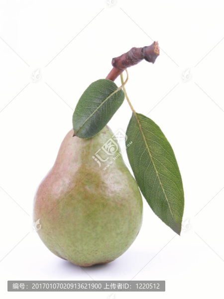 梨