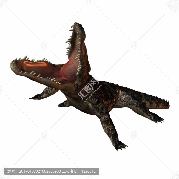 鱷魚