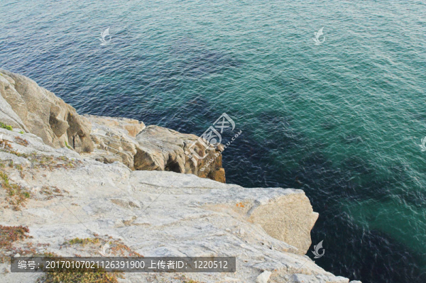 在法國海岸