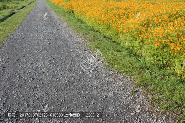 花路