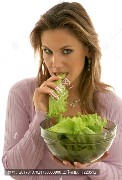 生菜